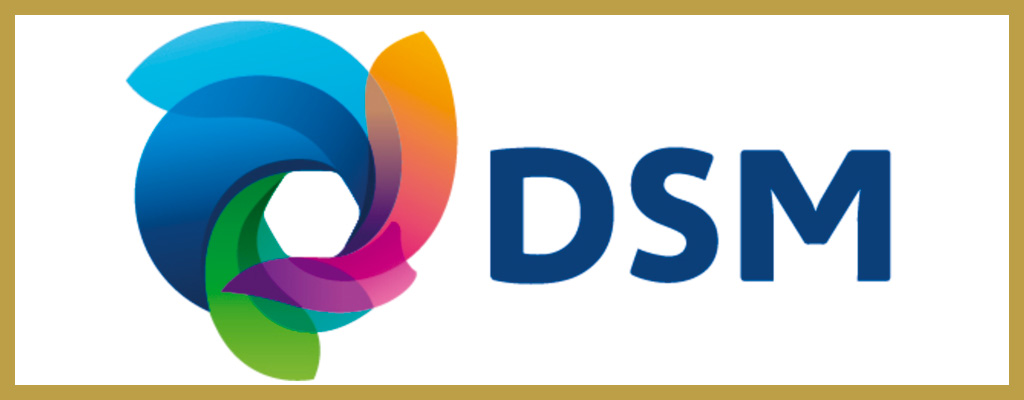 Logotipo de DSM Coating Resins Spain, SL